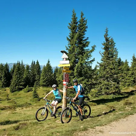 Tom & Jeri By Interhome Apartament Kaprun